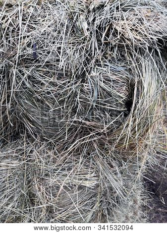 Beautiful Field Haystack Rolls In Autumn Season. Haystacks Harvest In Fall Landscape. Haystack Rolls