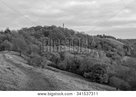 Landscape Photo Of The Admiral Hood Monument Near Butleigh In Somerset.