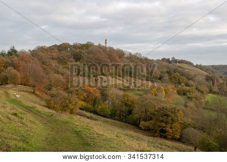 Landscape Photo Of The Admiral Hood Monument Near Butleigh In Somerset.