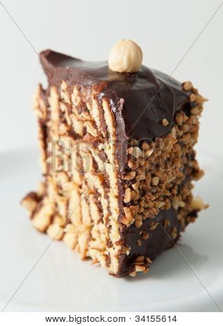 Portion of a delicious looking chocolate cacke