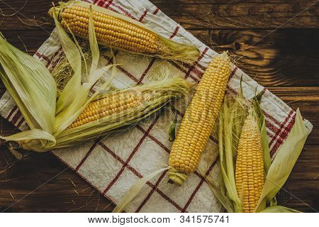 Fresh Organic Ripe Yellow Sweet Corn Cobs In Hust On Wooden Table. Top View.