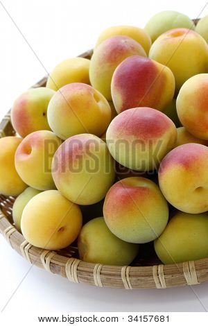 Reife japanische Aprikosen-Früchte