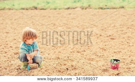 Natural Soil. New Technology In Farming. Small Kid Planting A Flower. Ecology Life. Eco Farm. Human 