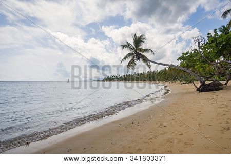 A View Of Tropical Beach With Sea Sand Palm Trees And Blue Sky,grand Bahia Beach,el Portillo,samana 