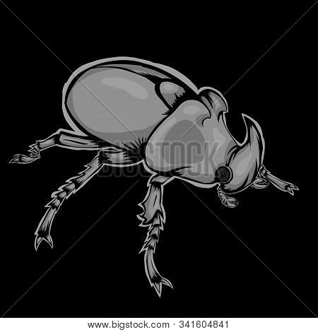 Simple Illustration Of Beetle On Black Background