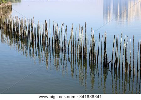 Wooden Stick Barrier