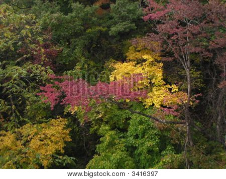 Herbstfarben