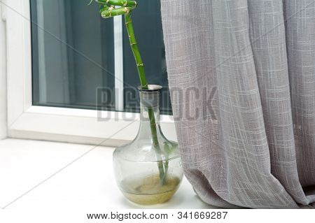 Plant In A Flagon Placed On The Window Sill, Indoor Close-up Still Life