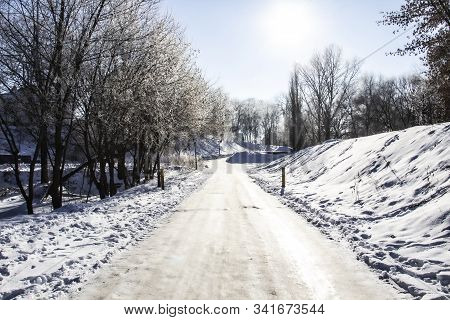 A Snowy Way. A Road In The Trees. Amazing Winter. A Snowy Trees, A Car Tracks, Footsteps In Snow