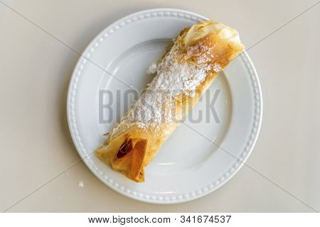 Delicious Tentugal Tarts From Coimbra, Portugal