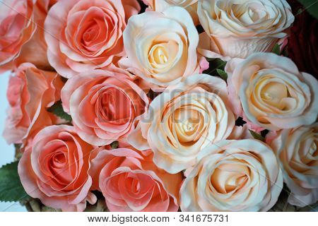 Roses. Pink rose. Holiday flower. Wedding decoration