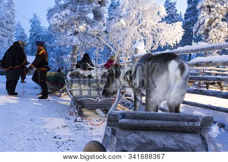 Saariselka, Finland - December 29, 2017: Reindeersledding In Lapland During Polar Night