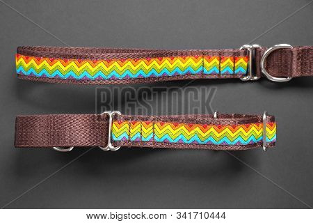 Top View  сolorful Dog Collar And Leash From Silky Tape, One Side Is Brown. Close Up, Black Backgrou