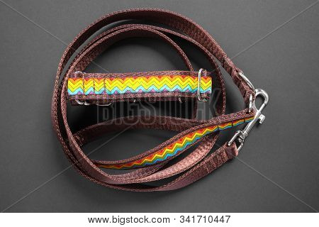 Top View  сolorful Dog Collar And Leash From Silky Tape, One Side Is Brown. Close Up, Black Backgrou