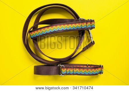 Top View  сolorful Dog Collar And Leash From Silky Tape, One Side Is Brown. Close Up, Yellow Backgro