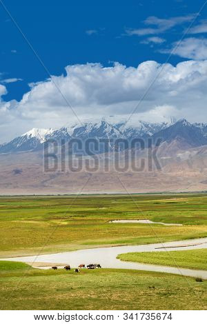 Idyllic Landscape In The Pamirs Plateau With Fresh Green Meadows On Pasture And Winding Rivers And S