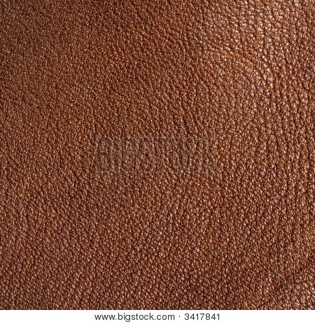 Couro fundo Xl