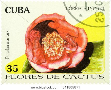 Moscow, Russia - December 27, 2019: Stamp Printed In Cuba Shows Flowering Cactus Pereskia Marcanoi, 