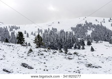 Landscape. View Of Kalavrita Ski Resort (greece, Peloponnesus) In Winter, Foggy, Cloudy Day