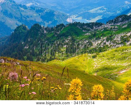 Summer landscape of Switzerland mountain nature at Rochers-de-Naye