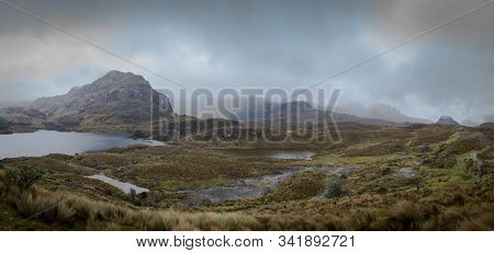 View From 