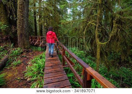 Woman Wearing A Red Coat Walking On A Wooden Path In A Wild Forest. Taken In Rainforest Trail, Near 