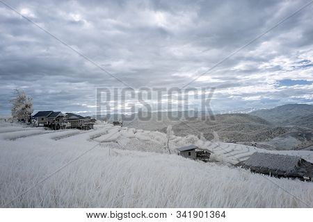Beautiful Rice Terraces In Pa Bong Piang, The Rural Village In Chiangmai, Thailand In Infrared Photo