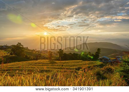 Beautiful Rice Terraces During Sunset In Pa Bong Piang, The Rural Village In Chiangmai, Thailand