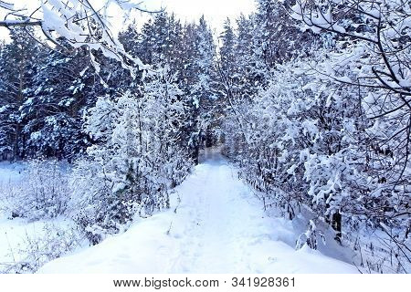 This Is A Real Fairy Tale. In The Center Of The Photo - The Path, Covered With Snow. On The Sides Of
