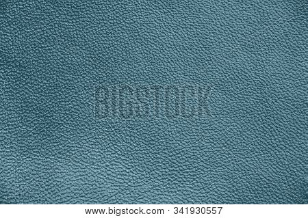 Genuine Leather. Blue Background. The Texture Of The Skin Close-up.