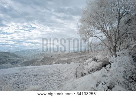 Beautiful Rice Terraces In Pa Bong Piang, The Rural Village In Chiangmai, Thailand In Infrared Photo