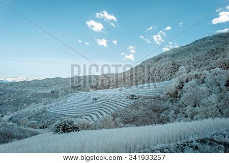 Beautiful Rice Terraces In Pa Bong Piang, The Rural Village In Chiangmai, Thailand In Infrared Photo