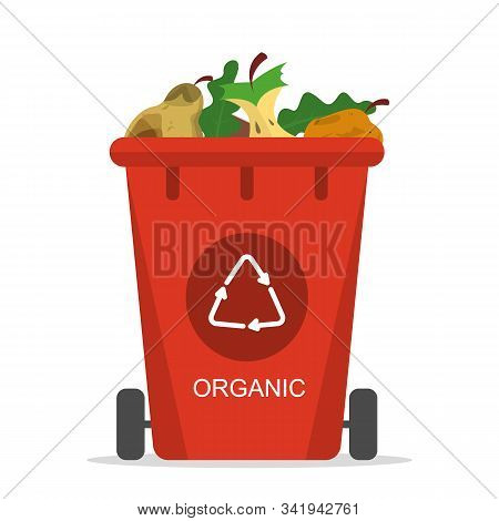 Organic waste in the trash bin vector isolated. Food garbage, apple core. Segregation of rubbish. Kitchen leftovers.