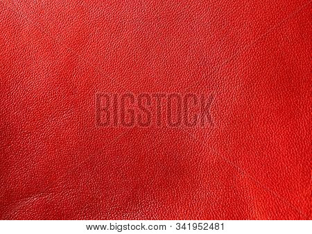 Genuine Leather. Red Background. Bloody Color. The Texture Of The Skin Close-up.