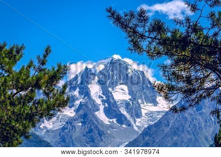 View Of The Mountain Peak Framed By Pine Branches.