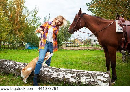 A Blonde Woman With Her Welsh Corgi Dog Goes To The Horse, The Dog Is Afraid Of The Horse And Hides 