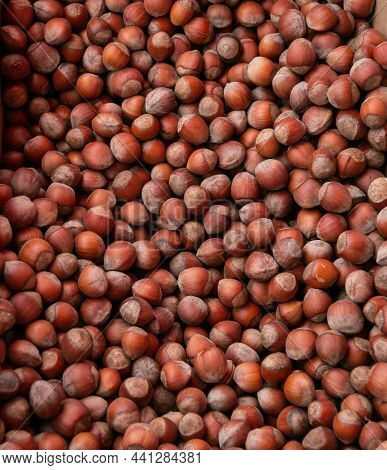Background From Hazelnuts. Close-up. Hazelnuts Are Used In The Preparation Of Sweet Dishes - Chocola
