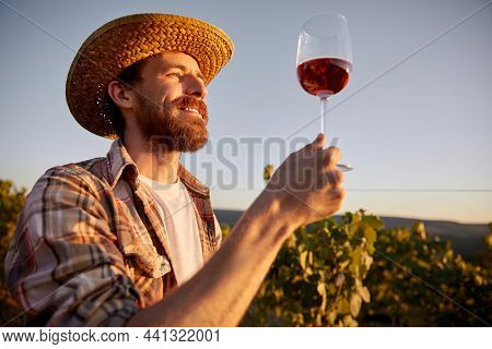 Low Angle Of Cheerful Male Oenologist Standing With Glass Of Red Wine In Garden In Sunset And Digest