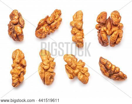 Walnut Isolated. Walnut Kernel Nut On White Background. Pattern. Creative Layout. Collection. Top Vi