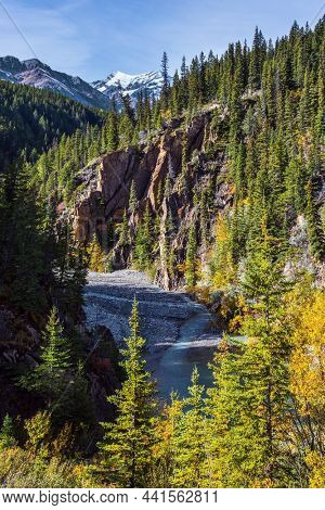 Great Indian summer in the Canadian Rockies. The first snow has already fallen on the peaks. The yellow foliage is mixed with green conifers. Cold melt water of emerald color in the Abraham Lake. 