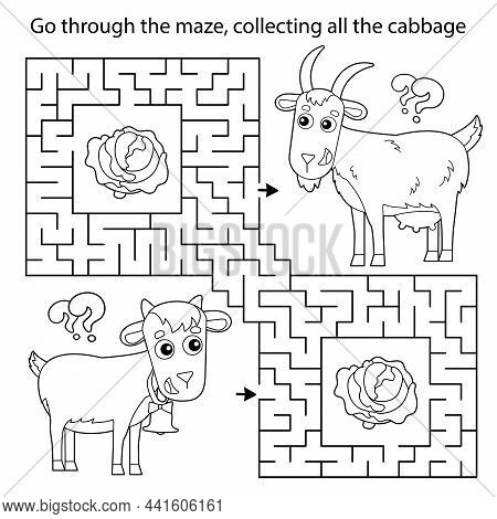Maze Or Labyrinth Game. Puzzle. Coloring Page Outline Of Cartoon Goat With Goatling Or Kid. Farm Ani