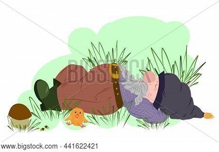 A Funny Little Gnome Sleeps In The Grass