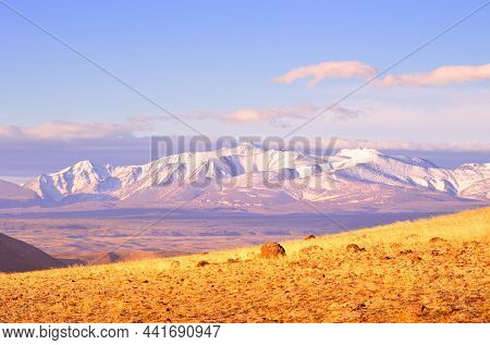 The North-chui Range In The Altai Mountains. A Rocky Slope In The Kurai Steppe, Snow-capped Mountain