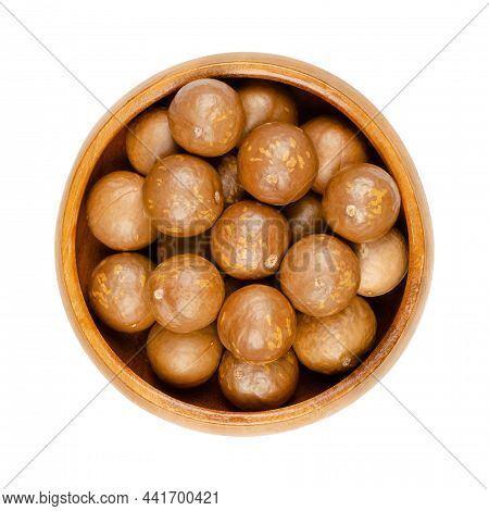 Macadamia Nuts In Their Shells, In A Wooden Bowl. Group Of Dried, Unshelled Nuts, Also Known As Quee