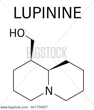 Lupinine Lupin Alkaloid Molecule. Skeletal Formula. Chemical Structure