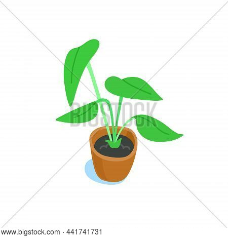 Potted Indoor Plant Illustration. Leafy House Plant In A Pot. Flat Vector Illustration Isolated On W