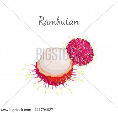 Rambutan Exotic Juicy Stone Fruit Vector Whole And Cut Isolated. Dieting Vector Vegetarian Icon, Edi