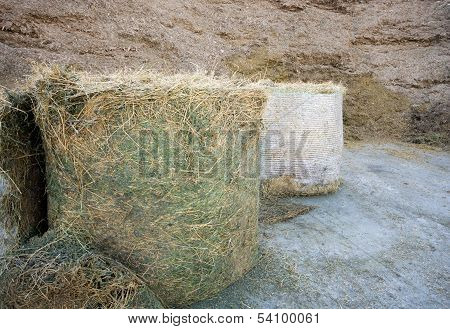 Haylage and silage