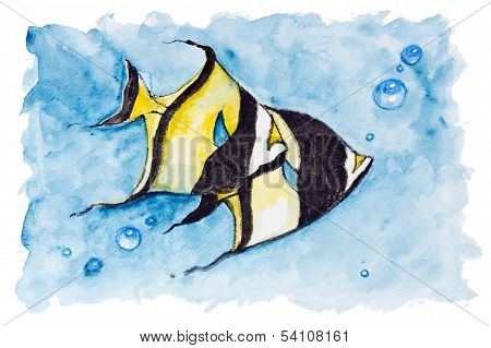 Red Sea Banner Fish