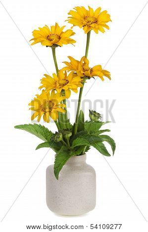 Minimalistic Sunflowers Yellow